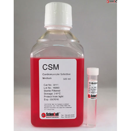 請(qǐng)?zhí)顚憳?biāo)題