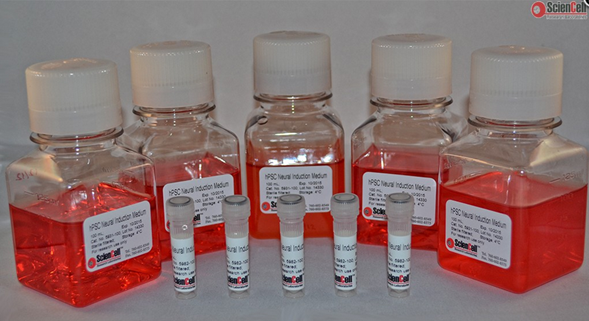 Sciencell 3.png Sciencell 3.png